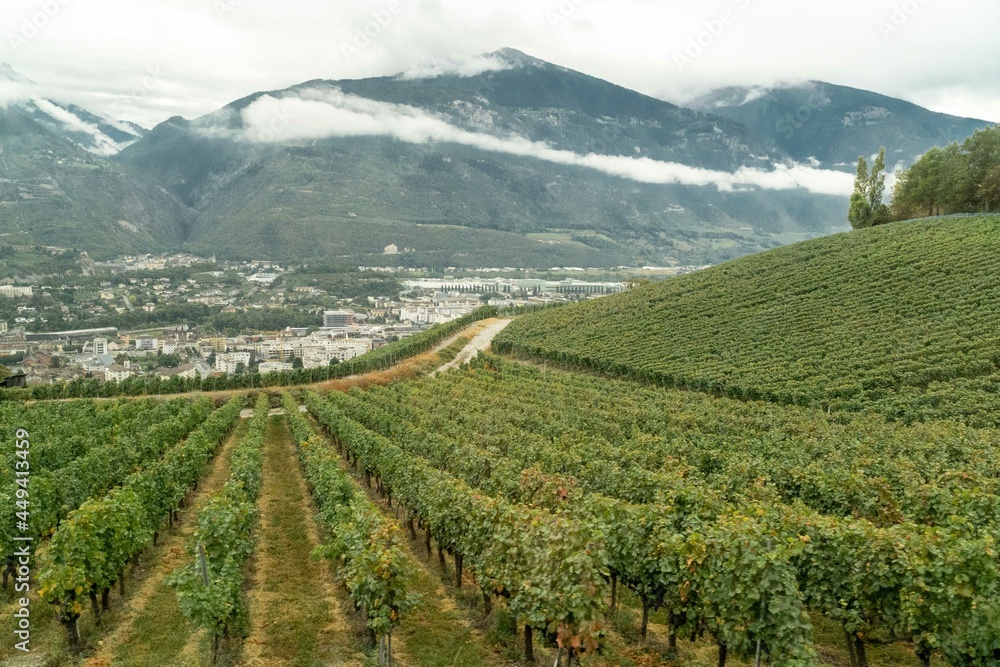 Landscape in Montana of vineyards and mountains. Crans-Montana,  Switzerland. 