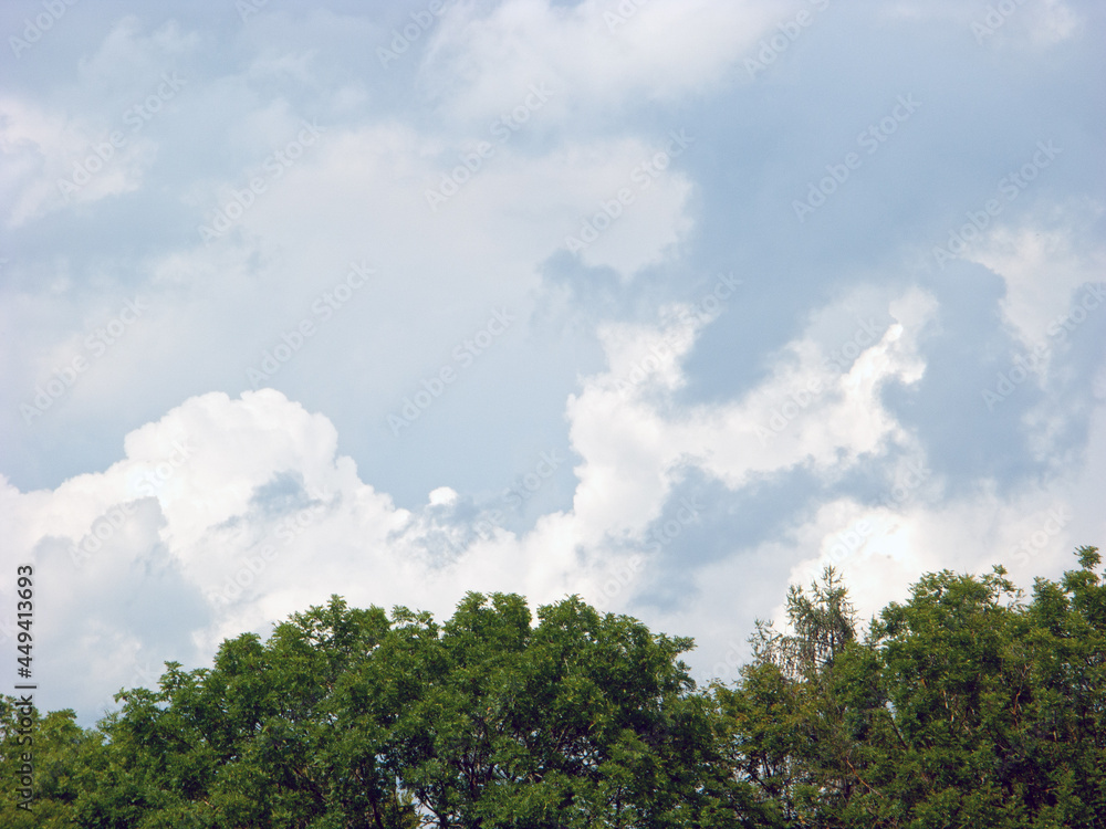 Obraz premium Gieschburg- 2021