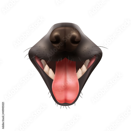 Realistic Dog Mouth