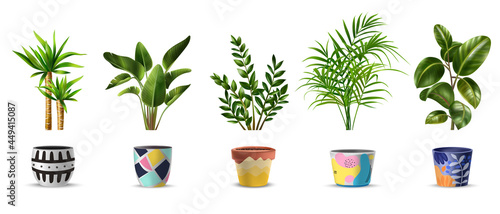 House Plants Set