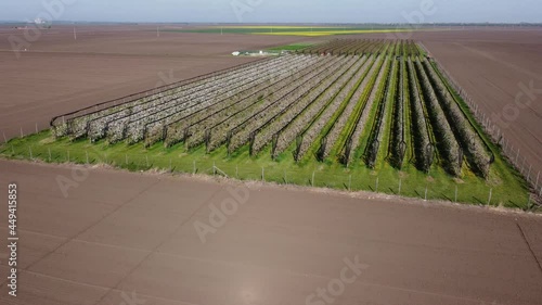 Drone flight over a vast plain