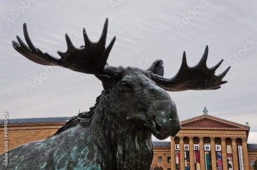 Photo of The Philadelphia Museum of Art and Moose Statue, Philadelphia, Pennsylvania USA