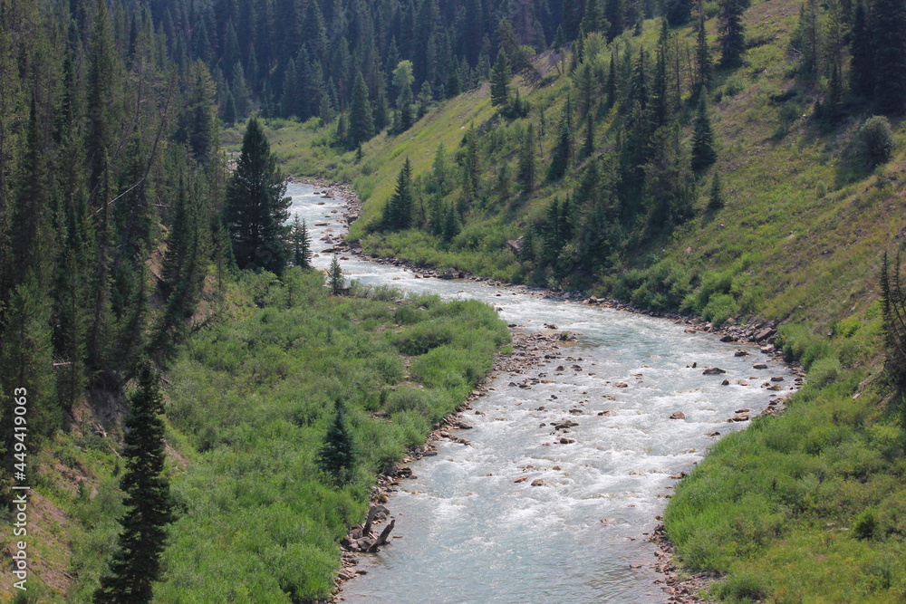 Grey's River meander