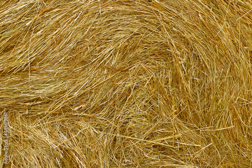 Close up of hay natural texture