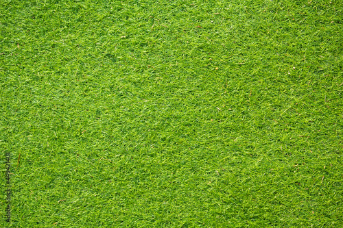 green grass texture background.