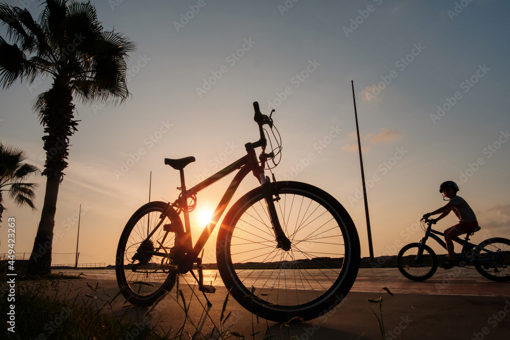 Fototapeta premium Silhouette of a bike at sunset. The sun shines through the frame of a bicycle