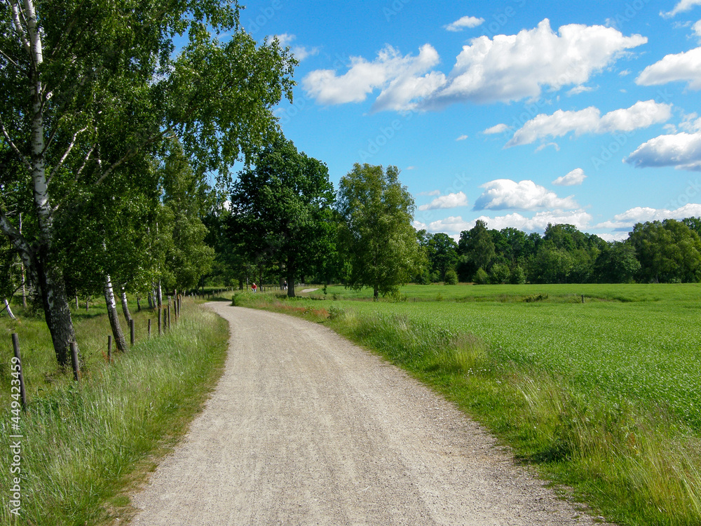 Obraz premium Bicycle on path along green field in countryside of Varnamo, Sweden