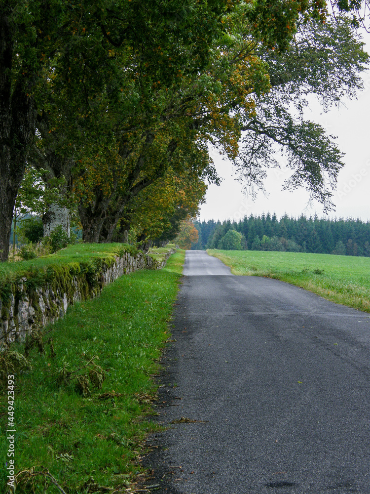 A panorama of a country road through forest landscape in Värnamo, Sweden
