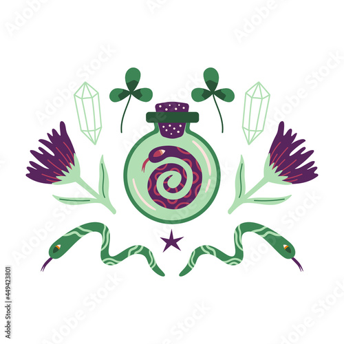 Mysterious hand drawn vector illustration with snakes, crystalls and flowers isolated on white.  photo