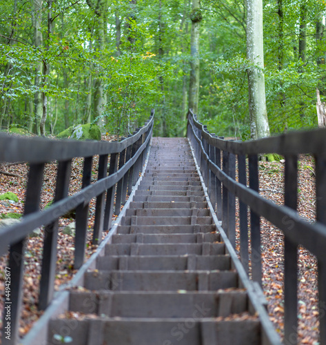 A stairway in Söderåsen National Park, Sweden