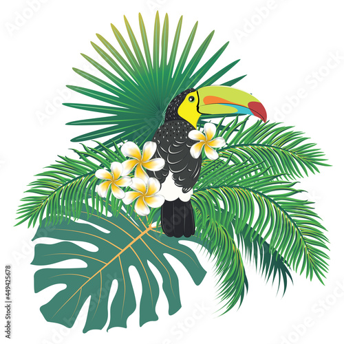 Keel billed toucan with tropical leaves