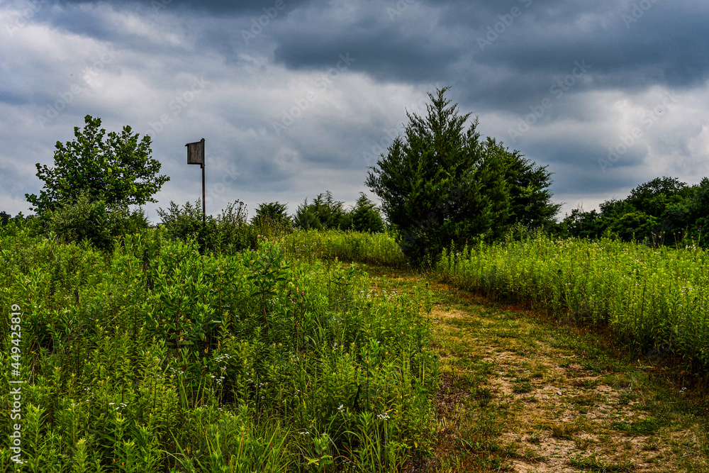 Photo of Stormy Weather in the Upland Meadow, Richard M Nixon County Park, Pennsylvania USA