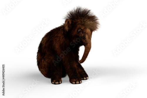 3D illustration of a Woolly Mammoth baby sitting isolated on a white background.