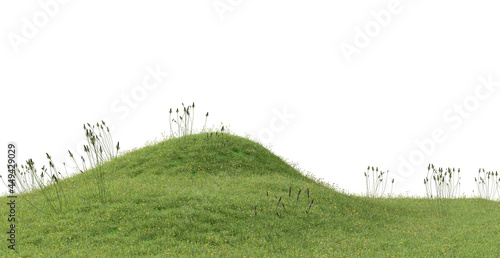 Grassy hill on a white background, 3d rendering photo