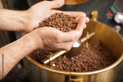 Hands of senior man with roasted coffee beans, closeup