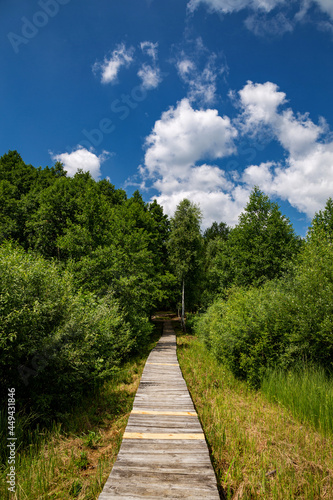 Svitiaz Lake, Shatsk National Natural Park. Wooden path to the forest.