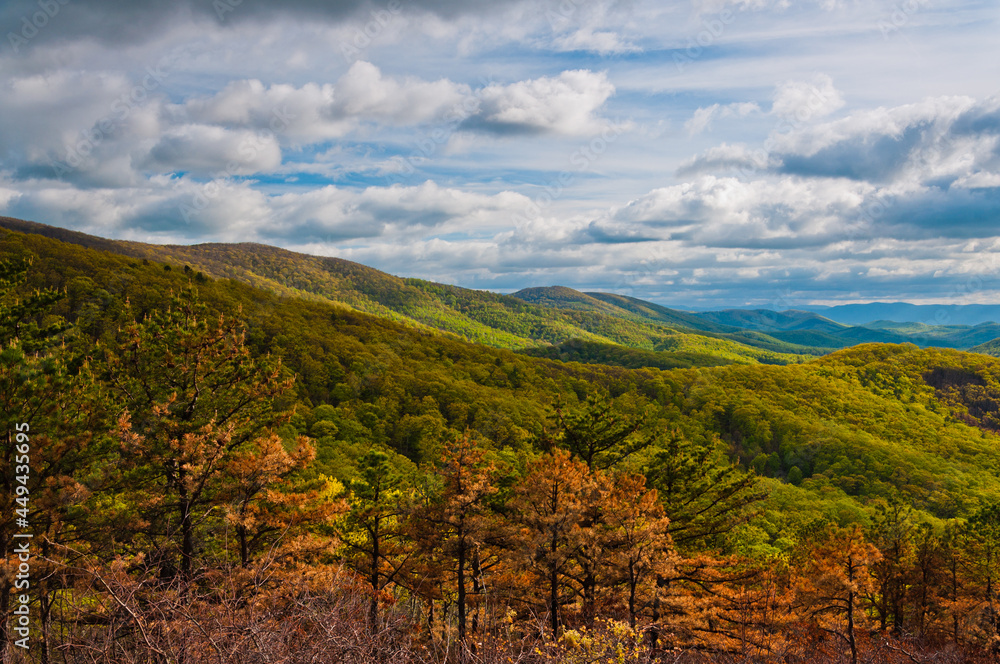 Beautiful Mountain View, Shenandoah National Park, Virginia, USA