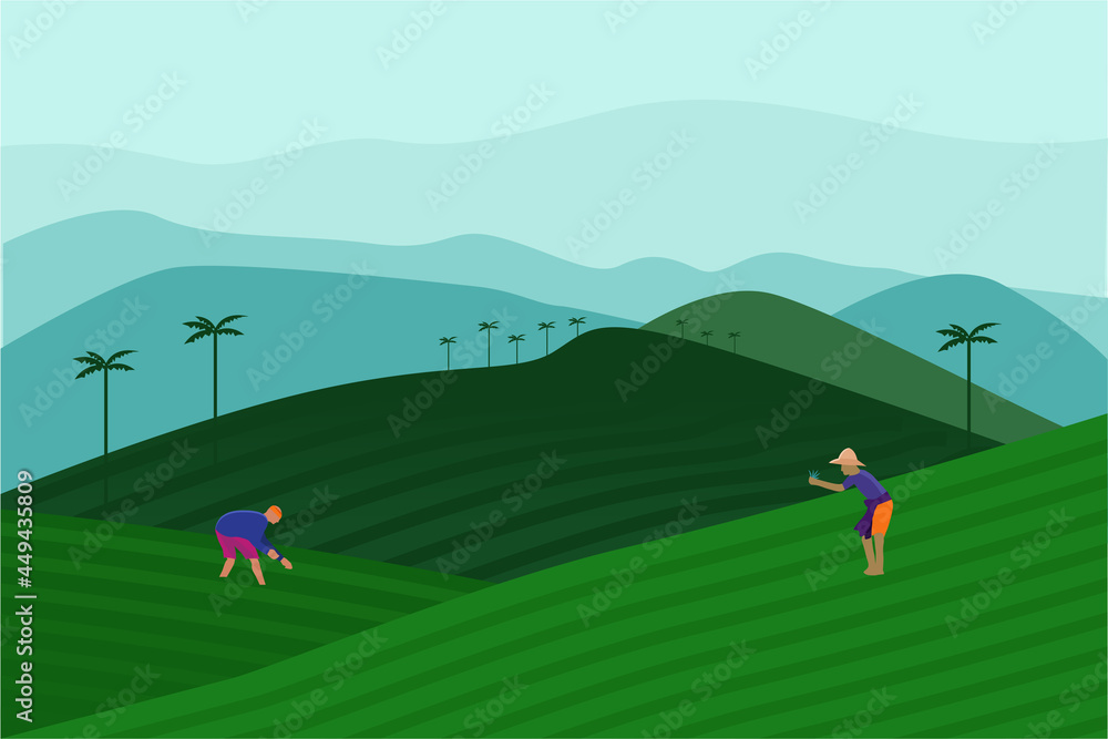 Tea garden vector illustration Tea garden vector illustration