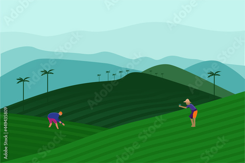 Tea garden vector illustration 