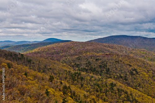 The Appalachian Mountains, Shenandoah National Park, Virginia, USA