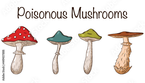 Poisonous Mushrooms Set. Collection of hand drawn poisonous mushrooms. Amanita, fungus, grebe, toadstool. Vector illustration for logo, prints, stickers, design and decoration