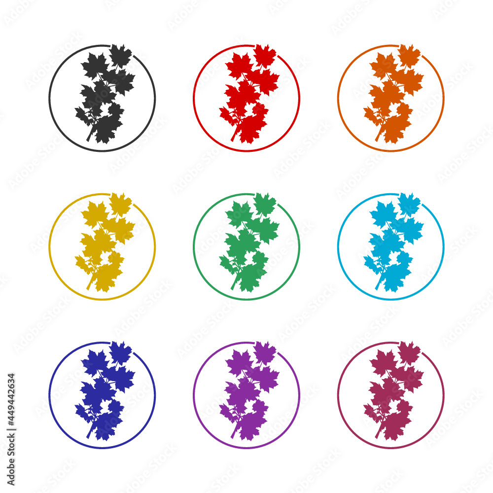 Leaves color icon set isolated on white background Leaves color icon set isolated on white background