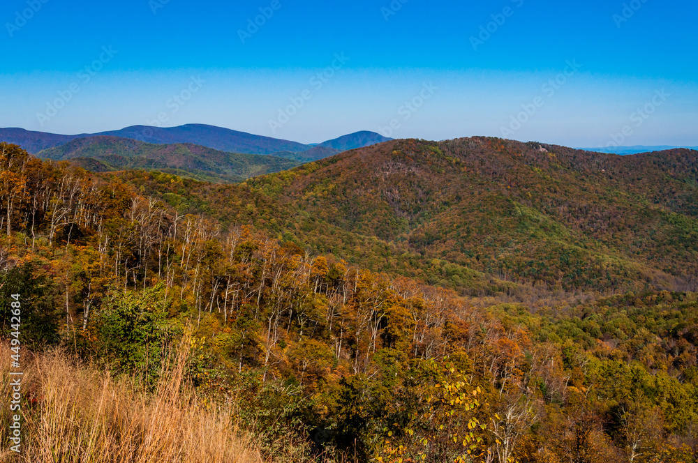 Autumn Beauty In Shenandoah National Park, USA