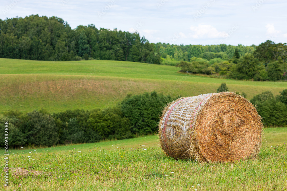 hay roll on the field