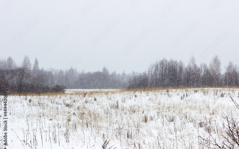 custom made wallpaper toronto digitalSnow-covered field in heavy snowfall