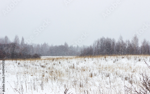 Wallpaper Mural Snow-covered field in heavy snowfall Torontodigital.ca