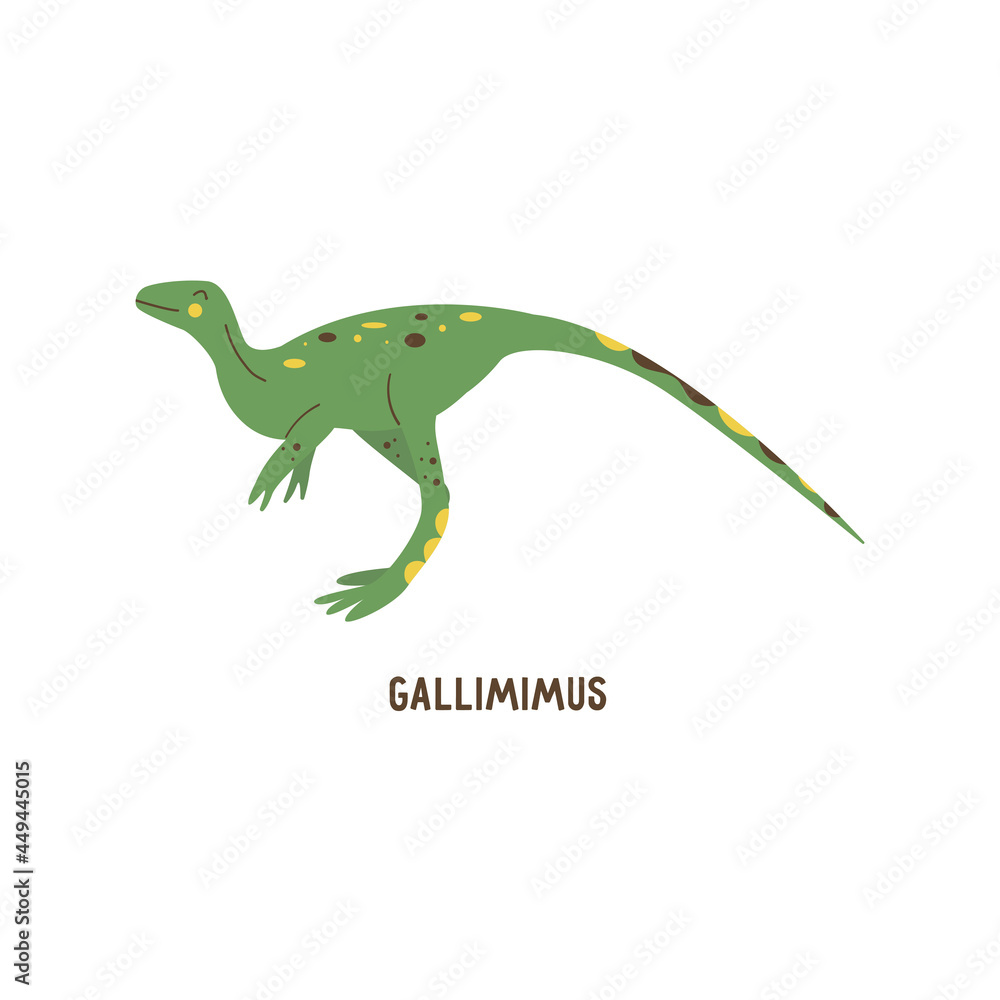 Dinosaur Gallimimus. Large omnivorous animal, extinct ancient reptile, Jurassic period. Colorful vector isolated illustration hand drawn. White background. Green cute dino Dinosaur Gallimimus. Large omnivorous animal, extinct ancient reptile, Jurassic period. Colorful vector isolated illustration hand drawn. White background. Green cute dino