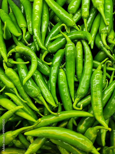 Fresh green chili. for sale in market. Many number. Green chili background.