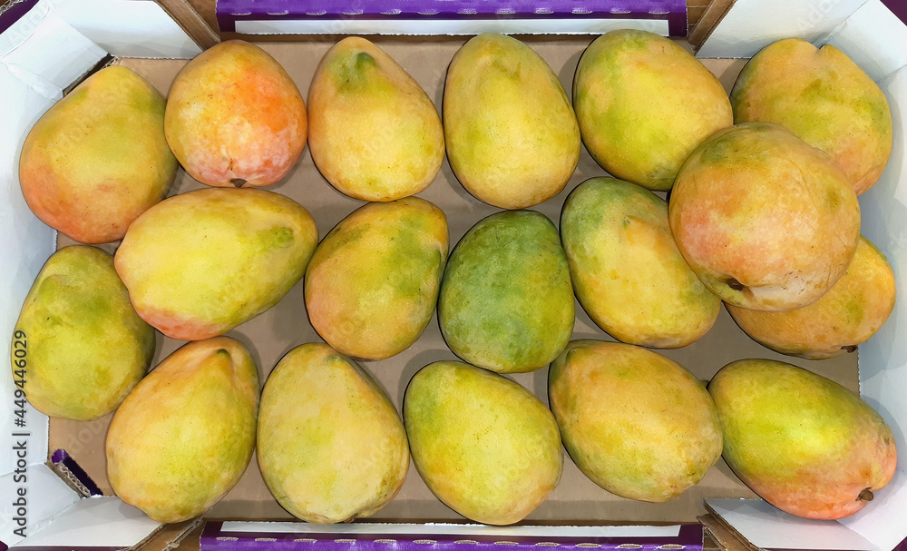 Mango. Fresh subtropical fruits for sale on farmers market Mango. Fresh subtropical fruits for sale on farmers market