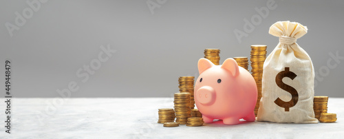 Obraz na płótnie Piggy bank and bag with money and gold coins