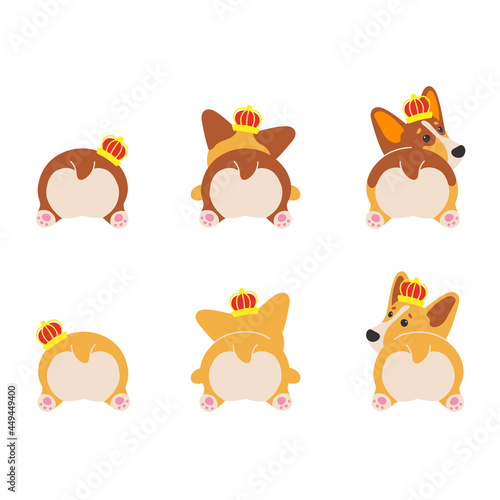 Cute dogs, Welsh Corgi Pembroke, back view. Corgis heart butt with golden crown. isolated on white background. Vector illustration for postcard, banner, web, decor, design, arts, calendar.