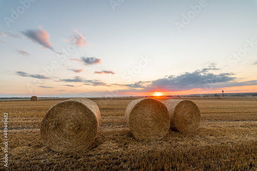 Agricultural scenery with round straw bales in the field at sunset golden hour. Selective focus. 