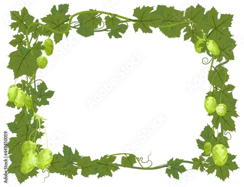 Rectangular Frame with Hops. A branch with dense leaves and cones. Sagging shoots with leaves. Wild nature. Flat style illustration with place for text. Isolated on white. Vector