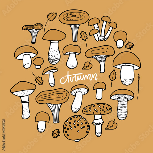 Set of autumn mushrooms in doodle Line drawing style, hand drawn vector illustration. Black and white picture on yellow background.