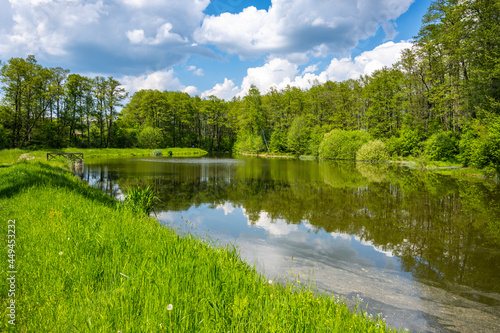 Jenisovsky Pond in Ploucnice river source area. Sunny summer day. Osecna  Czech Republic