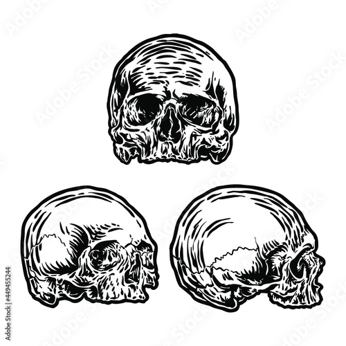 Hand drawn skull any angle set, vector illustration, cool element for your design.