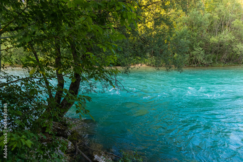 Obraz premium River in a forest. Beautiful green nature. Blue sunny sky.