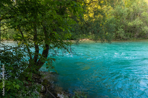 River in a forest. Beautiful green nature. Blue sunny sky. © 24K-Production