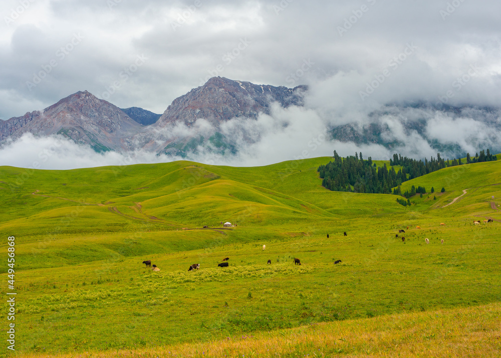 Landscape with mountains and clouds. Tian Shanh, Tekes river. Kazkh traditional horse breeding.