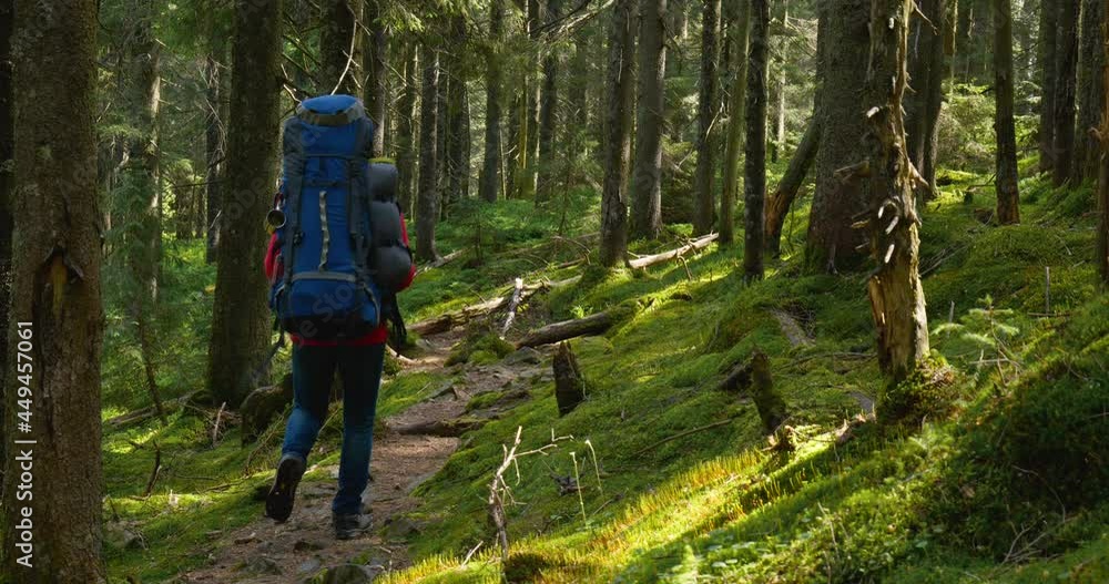 Tourist guy with a backpack walks along a trail in a beautiful forest Tourist guy with a backpack walks along a trail in a beautiful forest