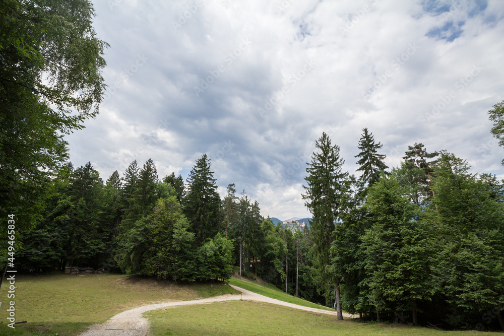 Ski slope in summer, in the middle of the Julian Alps, in Bled, Slovenia, with forests, a slope going down and trekking paths, used in summer for hiking...