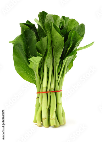 Green kale on a white background