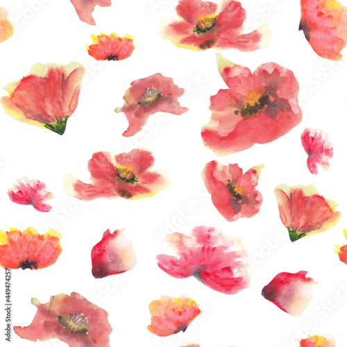 Poppy flower seamless pattern on white background  watercolor hand drawn