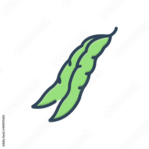 Schilderij op canvas Color illustration icon for green bean