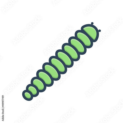 Color illustration icon for caterpillar