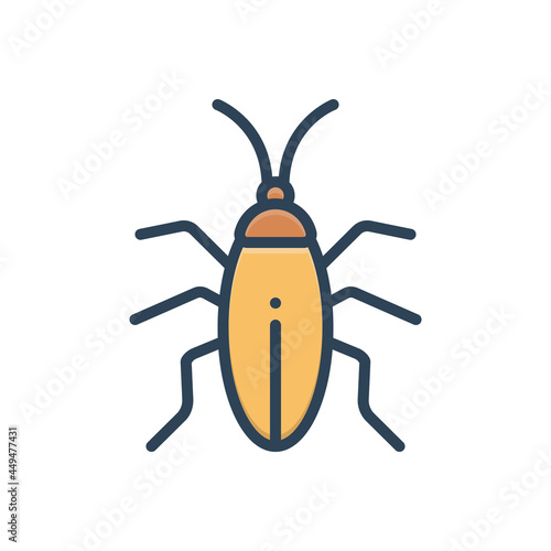 Color illustration icon for cockroach